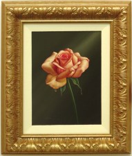 912947 Pink Rose
